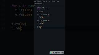 Learn How to Draw a House using Turtle Module in Python #shorts #python #programming