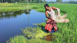 Amazing Net Fishing Video - Best Net Fishing - Traditional Fishing Video