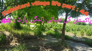 Pure village life in punjab pakistan  || pakistan world village's || part : 44