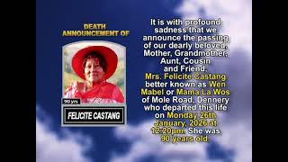 Felicite Castang ~ Short Obituary