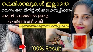 കട്ടൻ ചായയിൽ ഇതും കൂടി ചേർത്താൽ മതി വെറും 1 മിനിറ്റിൽ മുടി കറുപ്പിക്കാം💯%Natural Hair Dye Malayalam