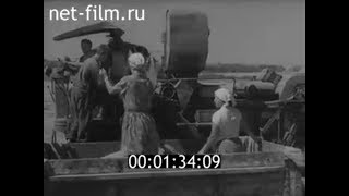 1963г.  совхоз Красноармеец Калининская обл