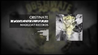 OBSTINATE - The Wolves Never Be A Part Of Circus (Single 2016)