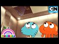 Nicht nach oben schauen! Gumball und Darwin sehen etwas, das zurückstarrt! | Cartoon Network