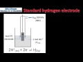 19.1 standard hydrogen electrode hl