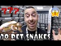 30 SNAKES!! ENTIRE COLLECTION PART 1| BALL PYTHONS