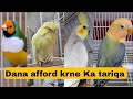 Dana afford krne Ka tariqa | AHSAN PETs