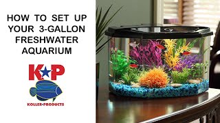 How to Set Up Your FRESHWATER AQUARIUM  3-Gallon