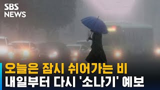 비 소강상태…내일부터 다시 전국 '소나기' 예보 / SBS