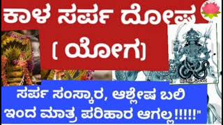 ಕಾಳ ಸರ್ಪ ದೋಷ ಹಲವು ಬಗೆ.. ಎಲ್ಲದಕ್ಕೂ ಒಂದೇ ತರಹ ಪರಿಹಾರ ಅಲ್ಲ!!!\