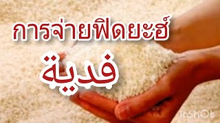 การจ่ายฟิดยะฮ์ สำหรับผู้ที่ถือศิลอดไม่ได้  #การเดินทางครั้งใหม่ในอิสลาม   #kubeen