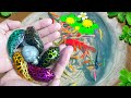 Catching Ornamental Tiny Pufferfish Nest In Colorful Surprise Eggs, Sailfish, Guppy Red, Betta Fish