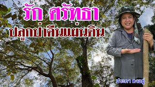 ที่ไร่ละ4-5ล้านเลือกปลูกป่า| บ้านสวนต้นหว้า | คนบ้าปลูกต้นไม้ | บ่าวยุทธพาจ้วด | บางละมุง