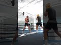 Sean Strickland hard sparring with 15-0 pro boxer, Robin Safar👀