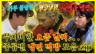 【잘먹잘법】 물냉파? 비냉파? 아니면 평양냉면..? 요즘 날씨엔 시원~한 냉면이지! 냉면 먹방모음 | 나혼자산다 | TVPP | MBC 200710 방송