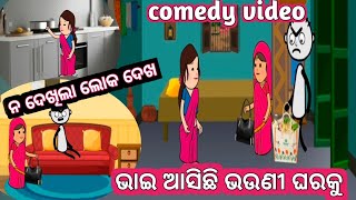 ଭାଇ ଆସିଛି ଭଉଣୀ ଘରକୁ. odia comedy video //odia cartoon video //funny video 🤣🤣