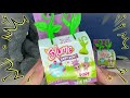 Blume Baby Pop Toy Opening 🌱 | Gigi's Toys and Collectibles