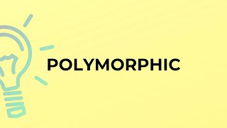 What is the meaning of the word POLYMORPHIC?