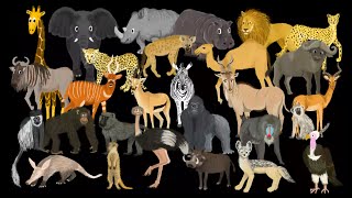 African Animals - The Kids' Picture Show (Fun & Educational Learning Video)