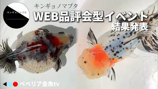 【キンギョノマブタ2024】金魚のWEB品評会型イベント | 一次審査通過 最終審査通過ともご紹介 | 長モノ丸モノ品種など関係ない金魚イベントです | インスタグラム | @peperia