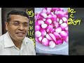 the onion effect how onions can transform your health சின்ன வெங்காயம் மருத்துவ பயன்கள்