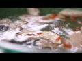 clear chicken soup sanjeev kapoor khazana