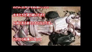 【閲覧注意】衝撃！美しすぎる美女人魚が発見される！ヤバい!衝撃の未確認生物（UMA）？マーメイド？ネットで騒然！