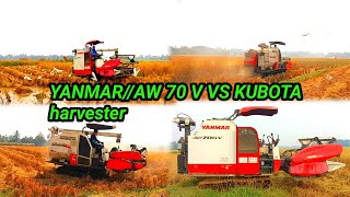 YANMAR AW 70 V VS KUBOTA harvester//#youtube #harvester #viralvideo