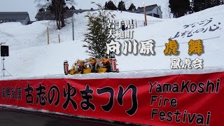 古志の火まつり 向川原虎舞 風虎会（岩手県）