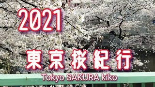 東京桜紀行　東京の桜の名所で一人お花見