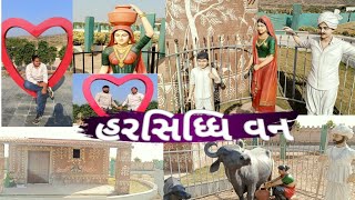 દ્વારકાના ગાંધવી પાસે \