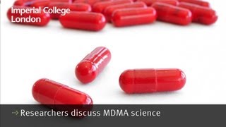 Researchers discuss MDMA science