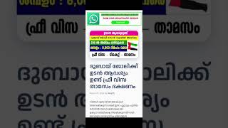 ഗൾഫിൽ നിരവധി തൊഴിൽ അവസരങ്ങൾ | Gulf Job Vacancy | UAE Jobs