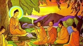 how to become successful in life | Buddha motivational story #motivation #buddhiststory #buddha