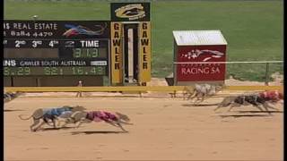 Gawler-10012017-Race-7