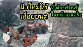 แนะนำ  การ ตัดไม้ มือใหม่ กับการใช้ เลื่อยยนต์ แบบคน บ้านๆ ที่มือใหม่ อาจไม่รู้