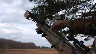 Hunting Deer with Crossbow in Ontario