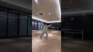 태극권 48식  Tai Chi 48 Form  48式太极拳