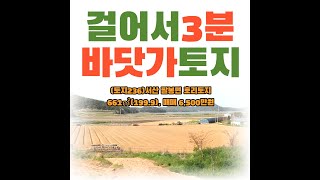 (매매보류)(토지236)서산시팔봉면호리토지매매, 바닷가도보 3분거리토지 661㎡(199.9) , 전원주택, 농막주택 건축추천, 매매 6,500만원