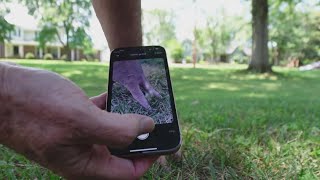 What the Tech?: This app makes you literally touch grass to use your phone