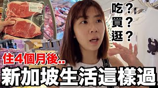 新加坡Vlog｜幫老爸買衣服...超級便宜！到市區吃了什麼？到哪裡買牛肉？