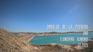 Embalse de la Pedrera and flowering almond, Valencia, Spain 2025