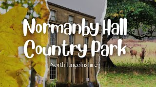 Autumn Walk at Normanby Hall Country Park | North Lincolnshire