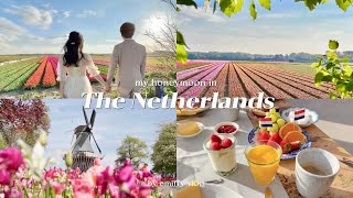 dream trip to spring Netherlands 🇳🇱 tulip field in full bloom🌷 sightseeing, cycling🚴