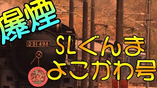 【爆煙SL】9135レ SLぐんまよこかわ号 D51-498 + 旧客6両 + EF64-1001