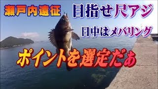 【アジング】山口県遠征、日中にポイント探し　根魚と遊んだみた