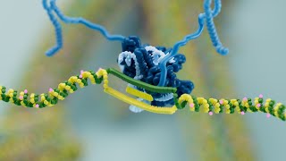 Epigenetic Engineering Explained - Epic Bio