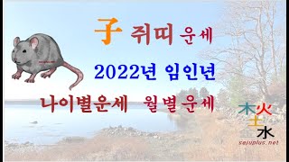 2022년 쥐띠 - 2022년 임인년 쥐띠 띠별 월별 사주 운세