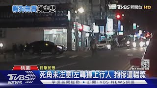 死角未注意!左轉撞上行人 狗慘遭輾斃｜TVBS新聞