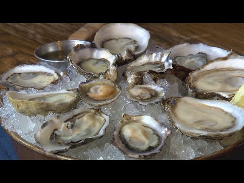 What do oysters feed on?